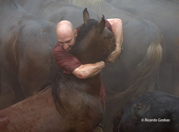 Hombre y caballo protagonizan en Sabucedo la lucha más noble: cuerpo a cuerpo.